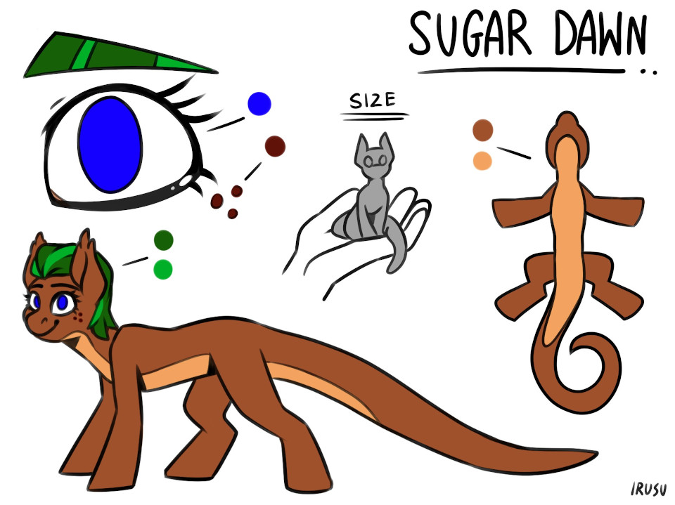 Primary reference sheet for Sugar Dawn showing body details and scale
