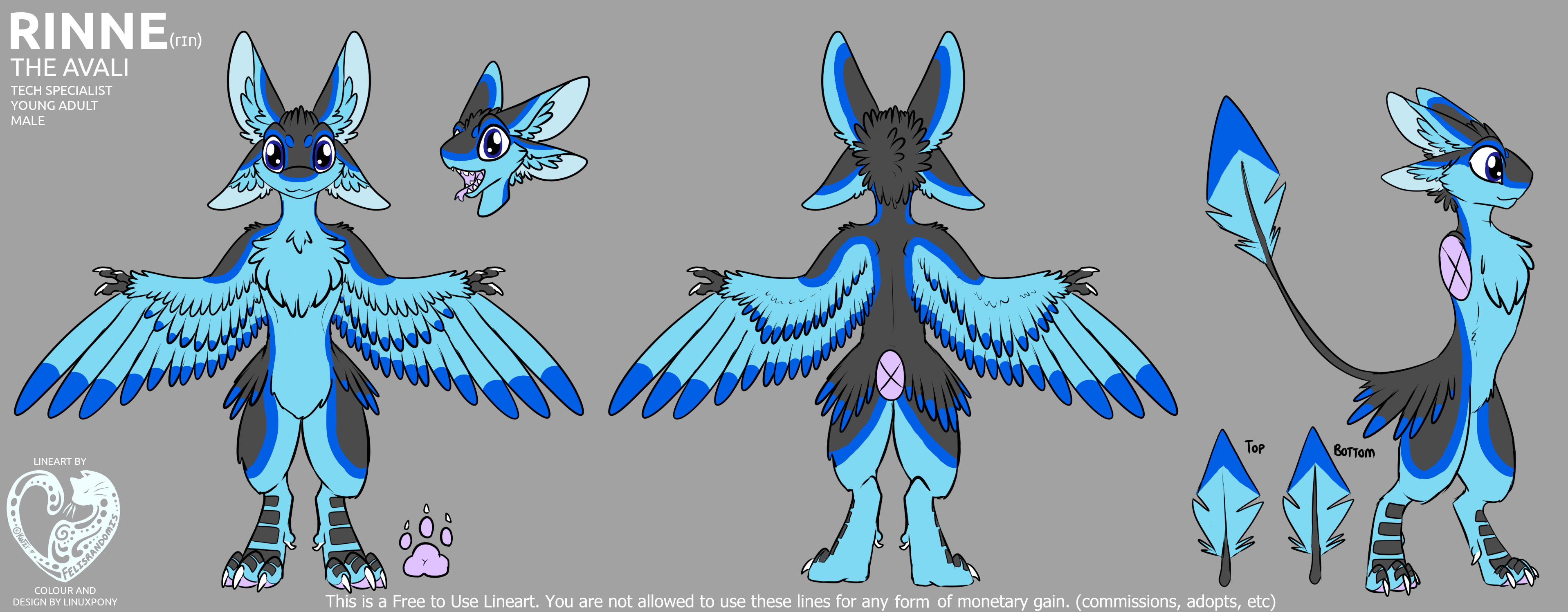 Reference sheet for Rinne the Avali